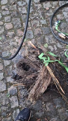 Comment déboucher une canalisation extérieure enterrée ?